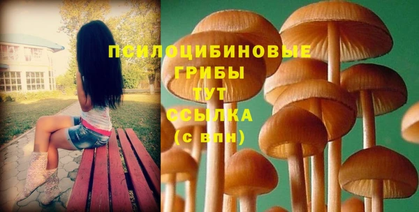 apvp Балабаново